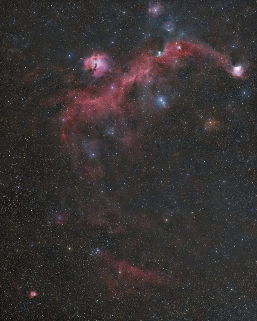 IC2177,Seagull,カモメ星雲