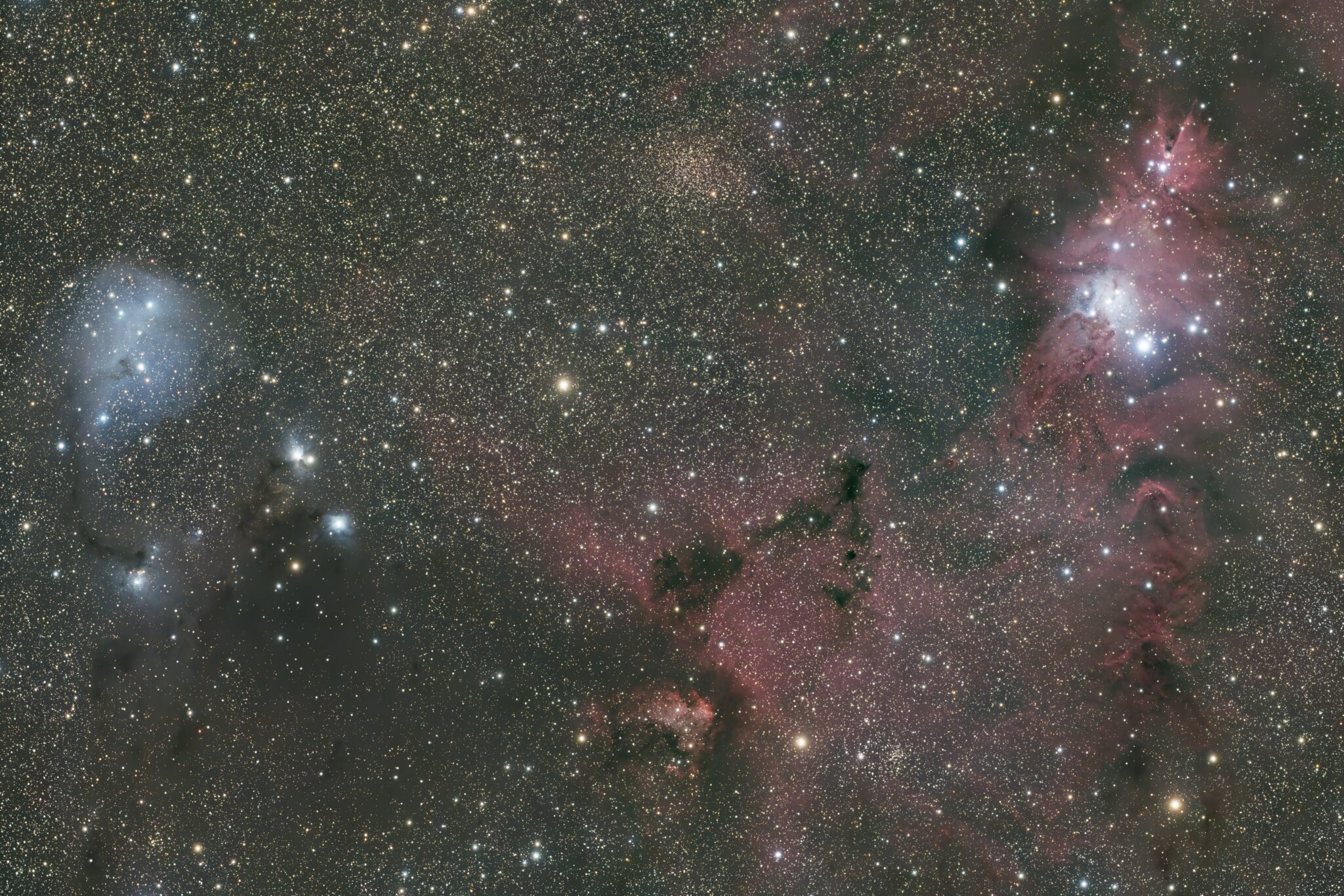 クリスマス星団,NGC2264