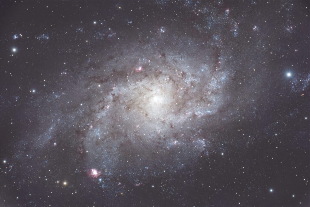 M33