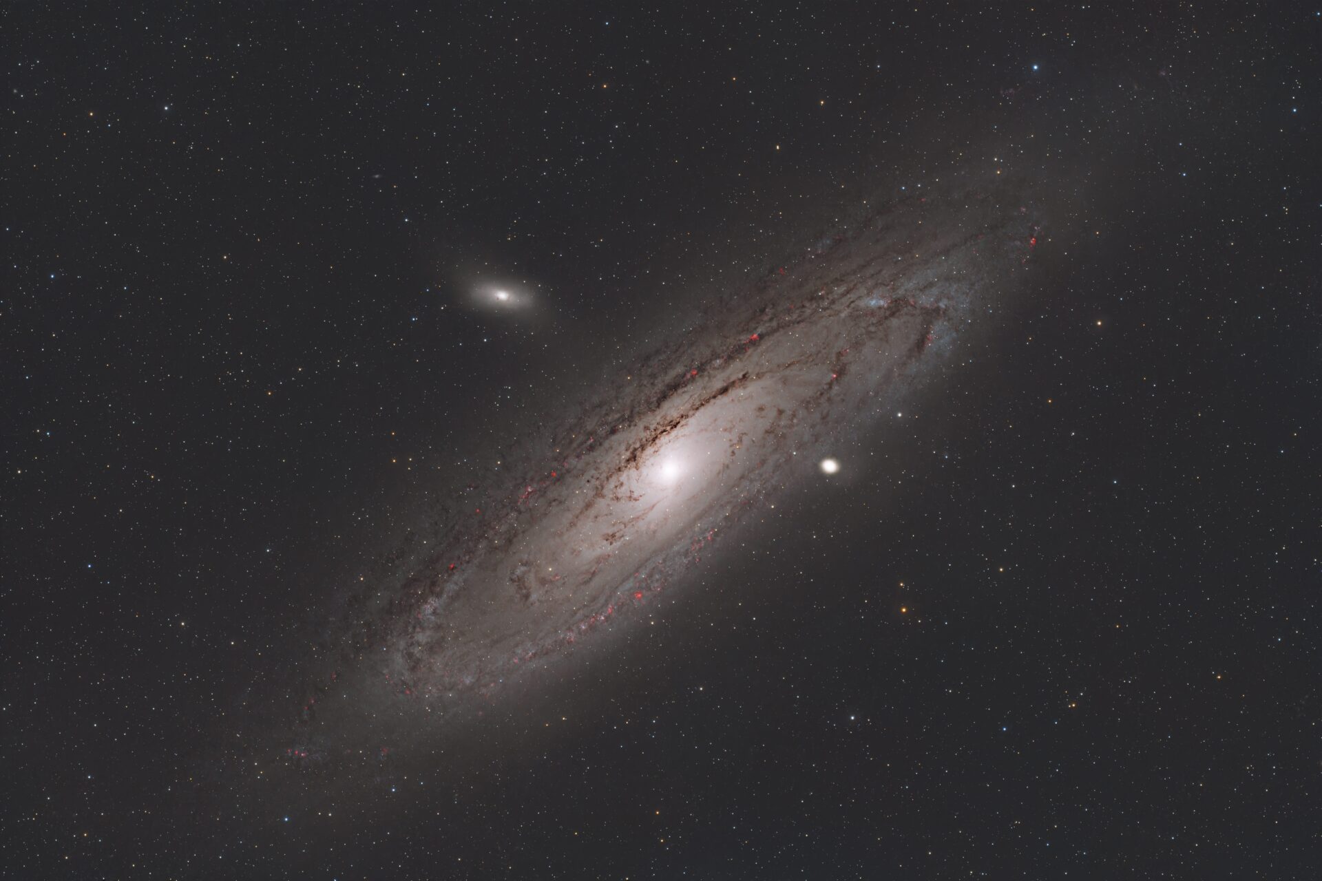 M31
