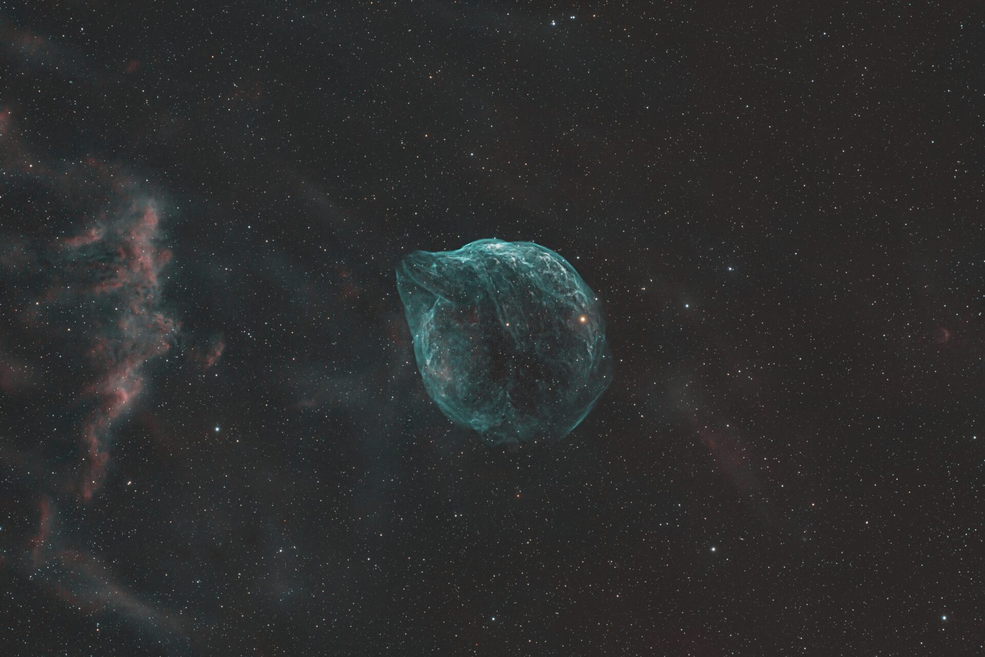 sh2-308,ドルフィンヘッド,ミルクポット